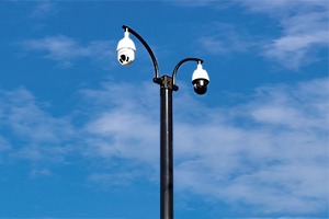 Swan neck and dome bracket pole